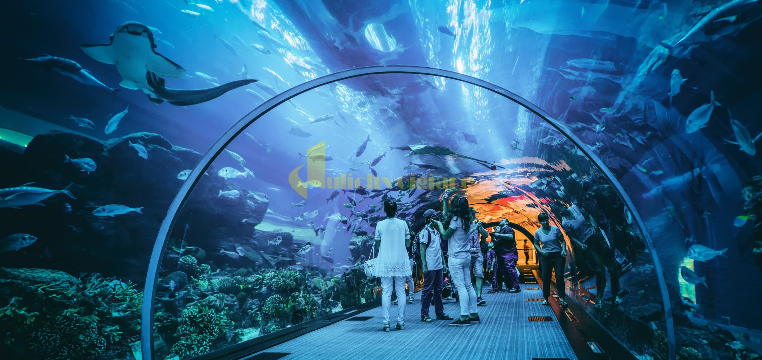 Lý Do Đến Với VinWonders Nha Trang - Du lịch với giá rẻ