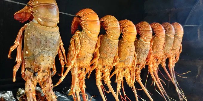 MonanPhuQuoc