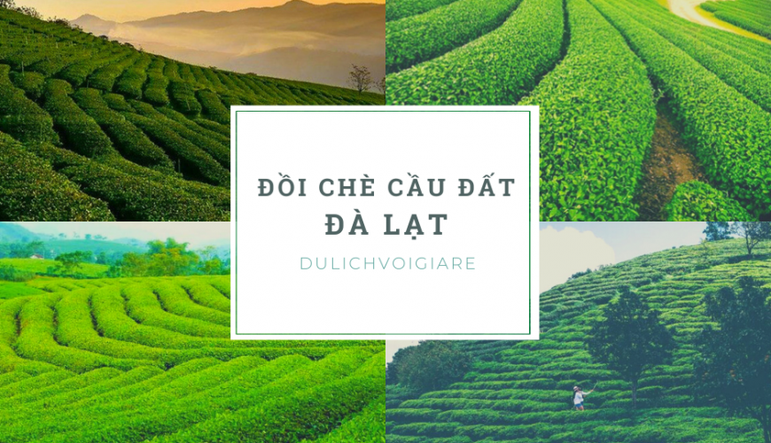 dulichvoigiare