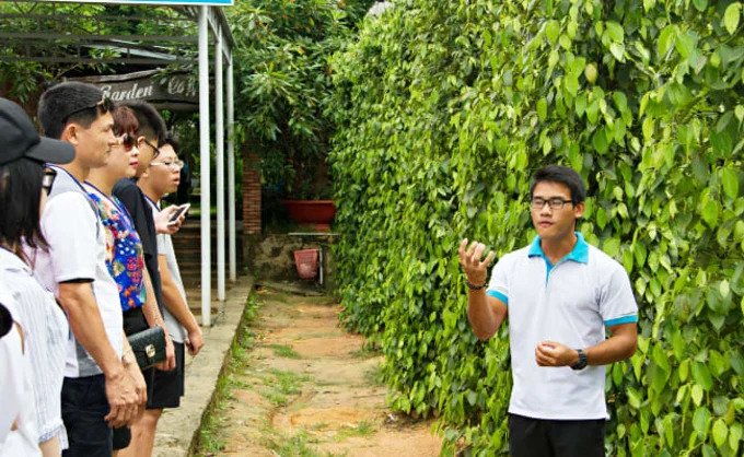Trang Trại Tiêu - Phú Quốc